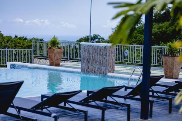 The Paradise Vista *